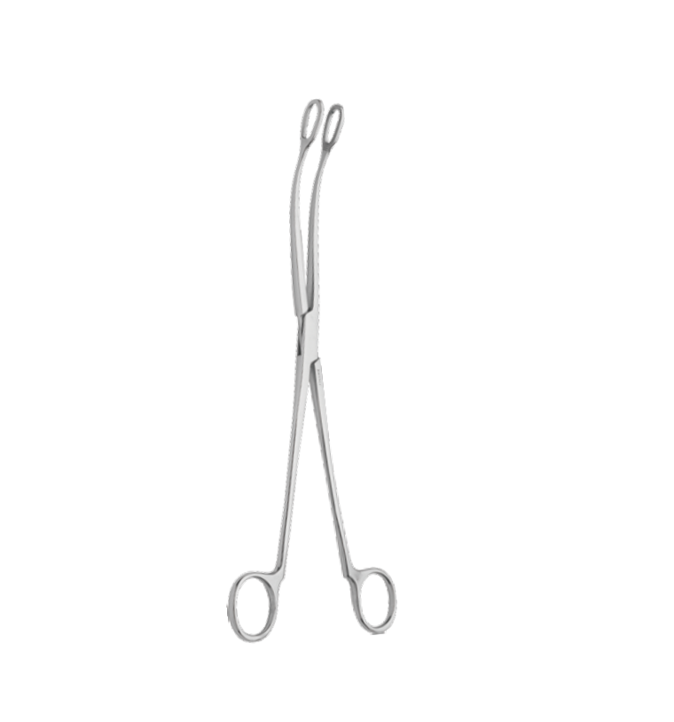 Holding Forceps - Image 2