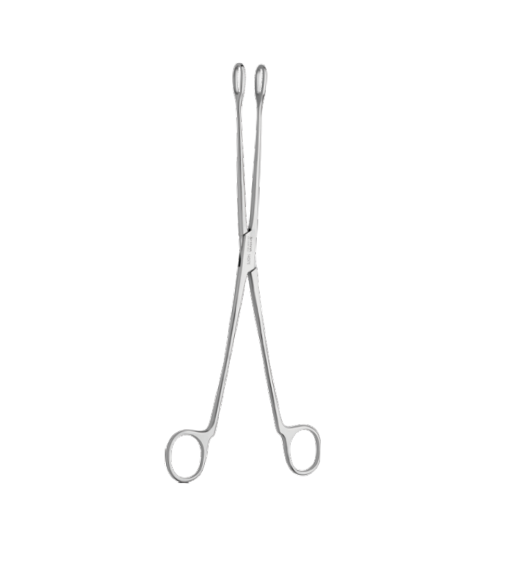 Holding Forceps - Image 3