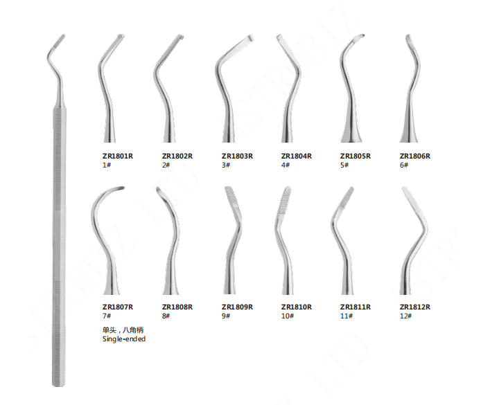 Tooth Curettes - Image 2